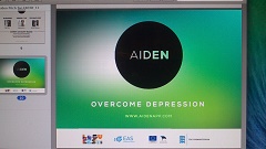 aideni presentatsioon